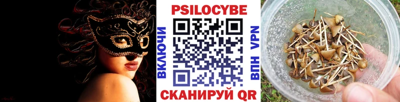 Псилоцибиновые грибы Psilocybine cubensis Тутаев
